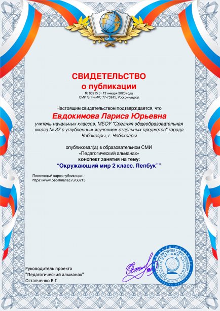 Свидетельство о публикации № 66215