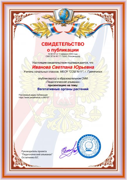 Свидетельство о публикации № 80127